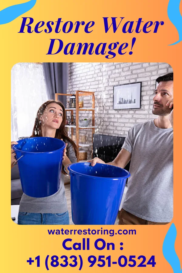 water restoration Coastal Water Removal Contractors Edgewood