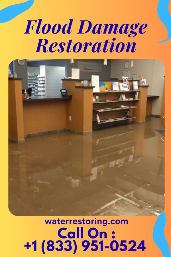 Flood Damage Restoration in Edgewood, IN